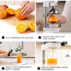 image:imageZulay Kitchen Pulperizer 9 in 1 Cast Iron Juicer  EasytoClean HeavyDuty Manual Juicer with Presser Attachment to Juice All Types of Fruits Extra Tall with Stainless Steel Bowl  White9 in 1  White