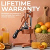 image:imageZulay Kitchen Pulperizer 9 in 1 Cast Iron Juicer  EasytoClean HeavyDuty Manual Juicer with Presser Attachment to Juice All Types of Fruits Extra Tall with Stainless Steel Bowl  WhiteOriginal  Toffee Brown