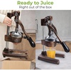 image:imageZulay Kitchen Pulperizer 9 in 1 Cast Iron Juicer  EasytoClean HeavyDuty Manual Juicer with Presser Attachment to Juice All Types of Fruits Extra Tall with Stainless Steel Bowl  WhiteOriginal  Copper