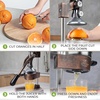 image:imageZulay Kitchen Pulperizer 9 in 1 Cast Iron Juicer  EasytoClean HeavyDuty Manual Juicer with Presser Attachment to Juice All Types of Fruits Extra Tall with Stainless Steel Bowl  WhiteOriginal  Copper